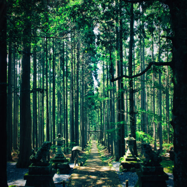 The Moment of the Deities ⑴