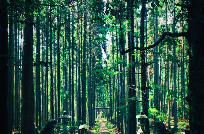 The Moment of the Deities ⑴