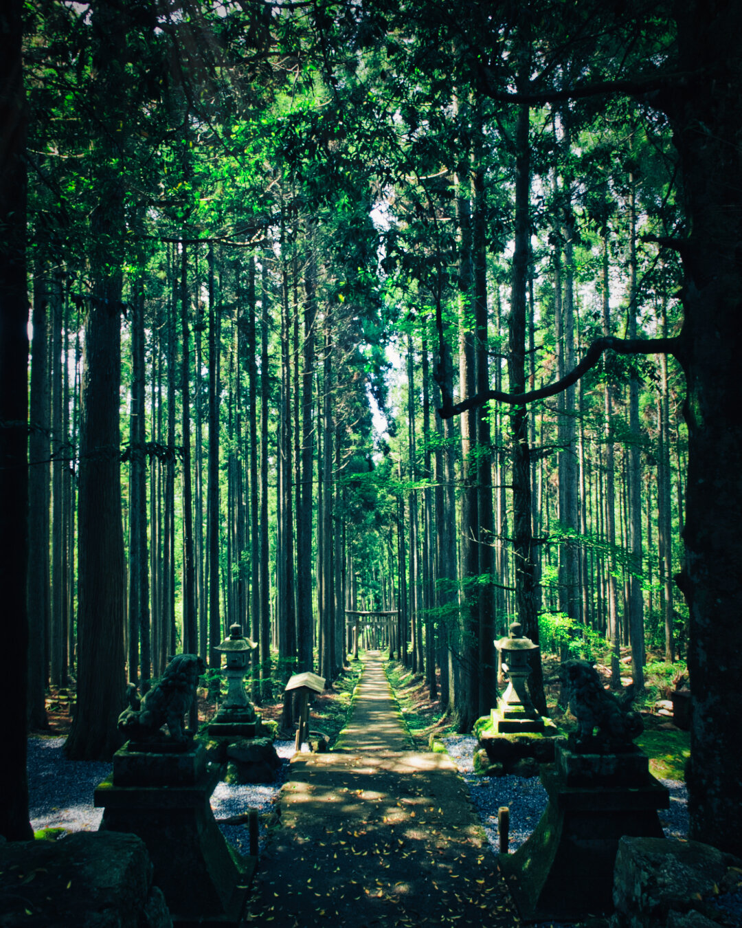 The Moment of the Deities ⑴